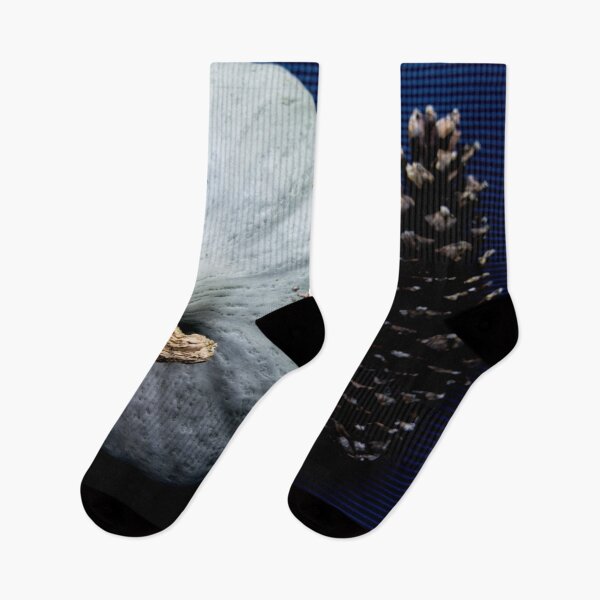 Item preview, Gray Hubbard and Pinus strobus designed and sold by Gabriele Maurus.