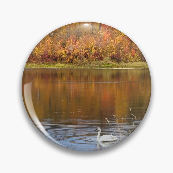 Item preview, Itasca State Park Trumpeter Swan on October 3, 2022 designed and sold by Debbie Center.
