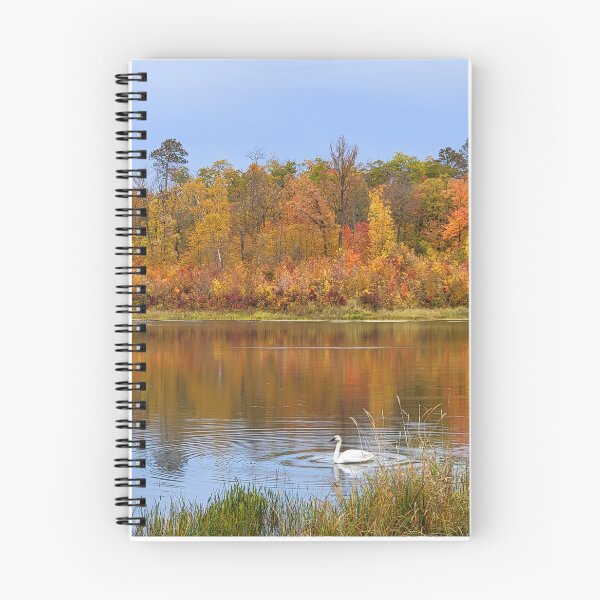 Item preview, Itasca State Park Trumpeter Swan on October 3, 2022 designed and sold by Debbie Center.