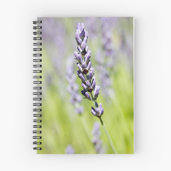 Item preview, Lavender designed and sold by Ally Mon Wai.