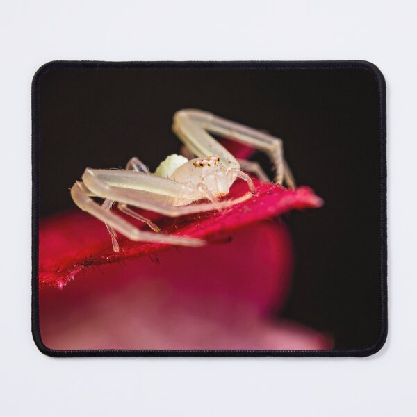 Item preview, Valentine's Day Crab Spider - Thomisidae designed and sold by AronsTinySafari.