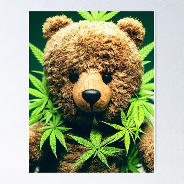 t Care Bear SHIRT Funny Cute Weed Smokers Marijuana Lovers