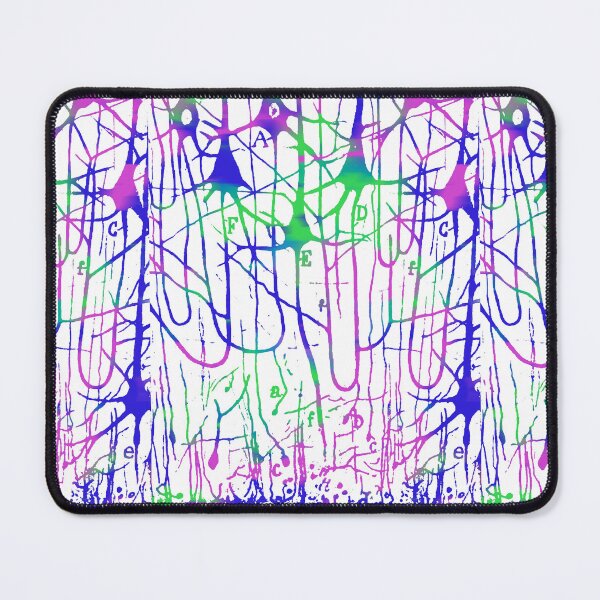 Item preview, Neuron Pyramidal Cells Drawing by Santiago Ramon Y Cajal designed and sold by ScienceSource.
