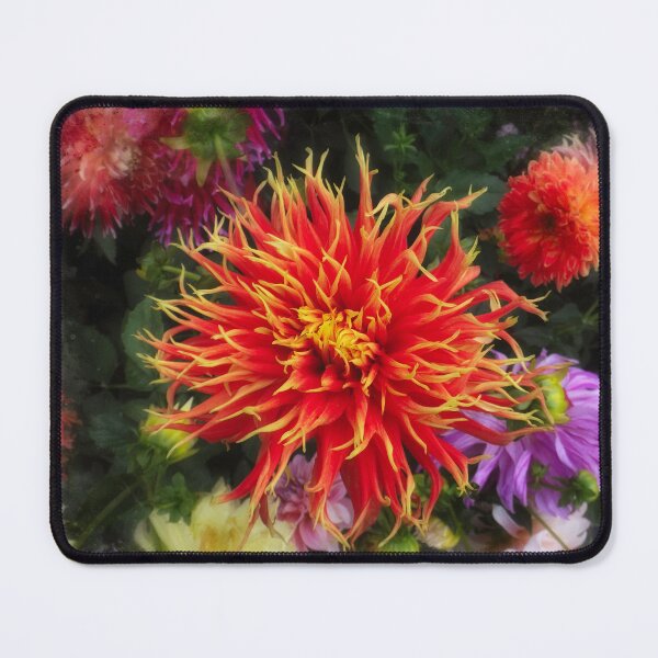 Item preview, Dahlia supernova designed and sold by Maxiverse.