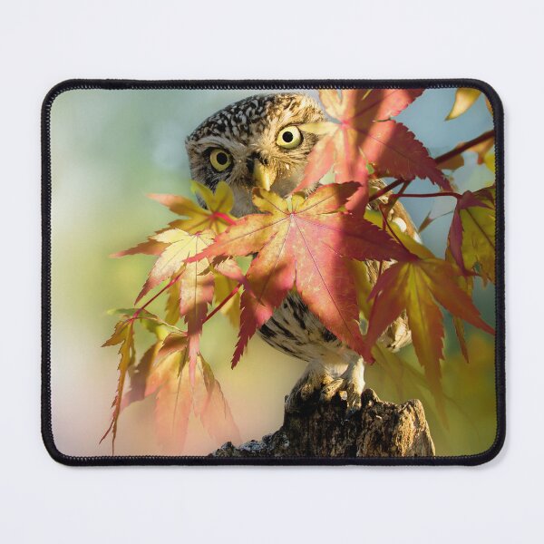 Item preview, She Can't See Me ! designed and sold by MoragBates.