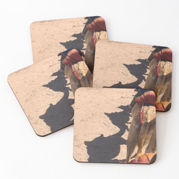 Item preview, Camels in Morocco designed and sold by hiwilhite.