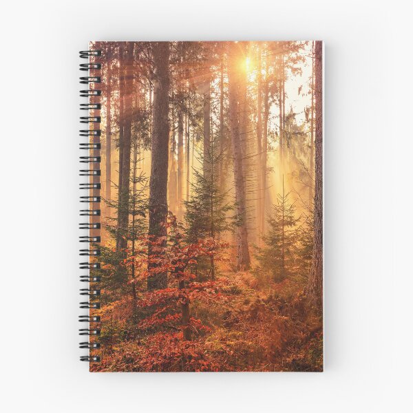Item preview, Autumn forest photography  designed and sold by Durgaa D.