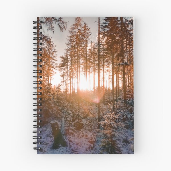 Item preview, Autumn forest photograph designed and sold by Durgaa D.