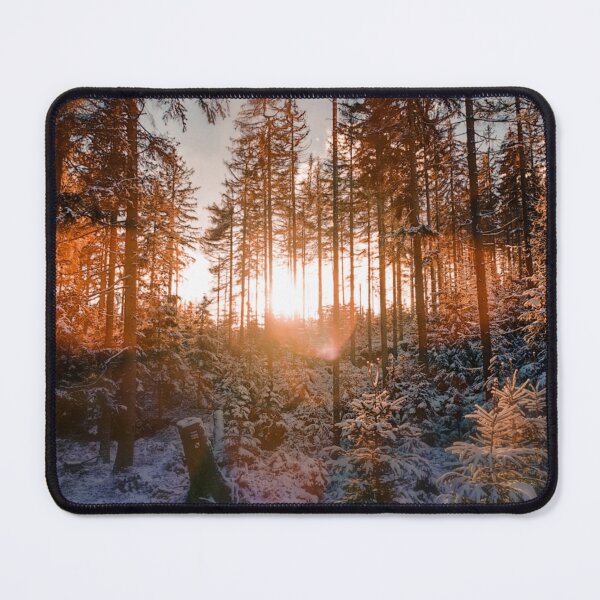 Item preview, Autumn forest photograph designed and sold by Durgaa D.