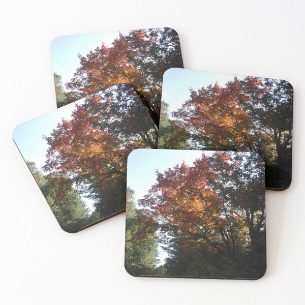 Item preview, Backlit Autumn designed and sold by CJGrimes.