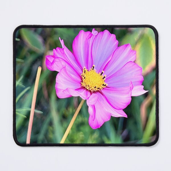Item preview, Vibrant Cosmo designed and sold by Angela Fazio.