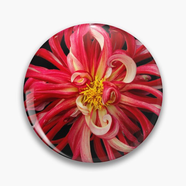 Item preview, Red dahlia supernova designed and sold by Maxiverse.