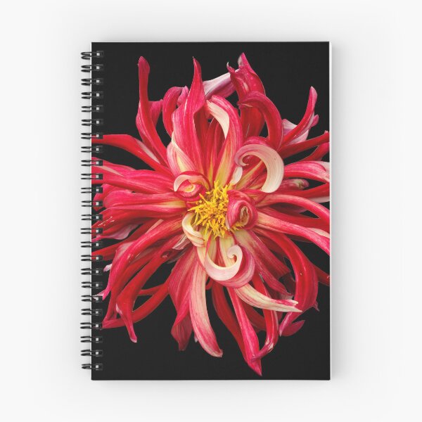 Item preview, Red dahlia supernova designed and sold by Maxiverse.