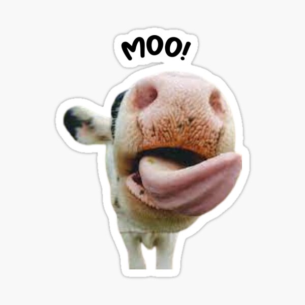Moo! cute cow for cow lovers Sticker for Sale by Mimou El