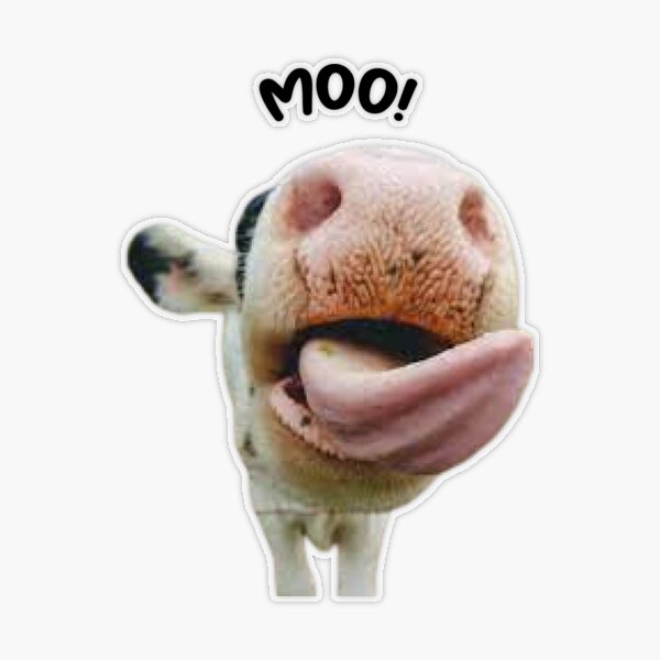 Moo! cute cow for cow lovers Sticker for Sale by Mimou El