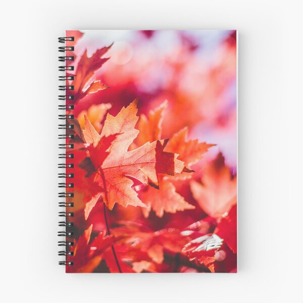 Artikelvorschau, Kopie von rosa, roten, orangefarbenen Blättern im Herbst entworfen und verkauft von Durgaa D.