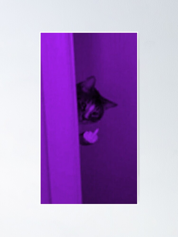 Katze Zeigt Mittelfinger Funny Cat Meme Poster Von Pusla Redbubble 2325