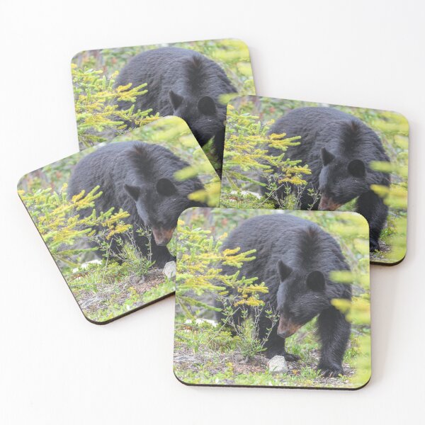Item preview, Black Bear designed and sold by jvnimages.