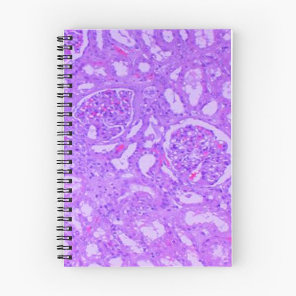 Item preview, Kidney tissue designed and sold by DarkiraVClemm.