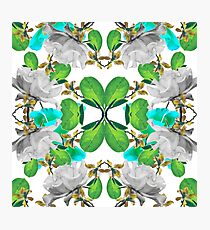 Abstract Nature Print Photographic Print