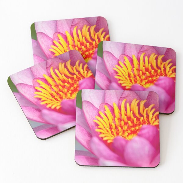 Item preview, Red Waterlily  designed and sold by jvnimages.