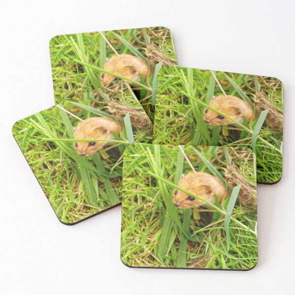 Item preview, What's Going On! designed and sold by Stephen Frost.