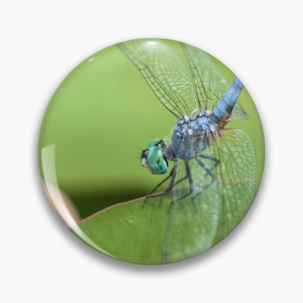 Item preview, Blue Dasher designed and sold by jvnimages.