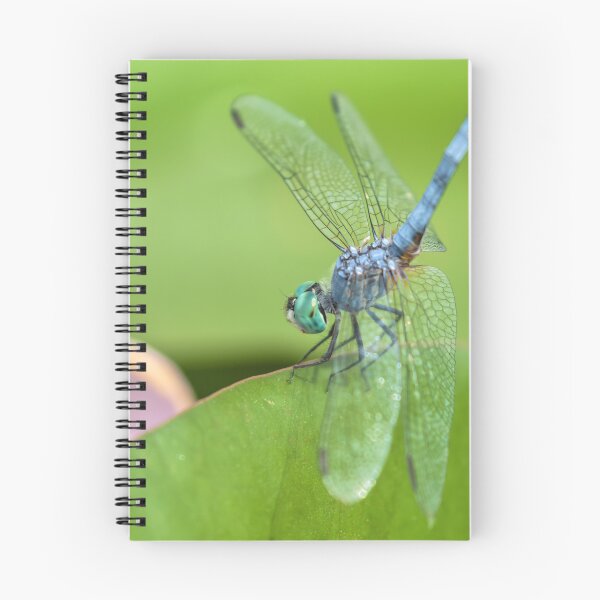 Artikelvorschau, Blauer Dasher entworfen und verkauft von jvnimages.