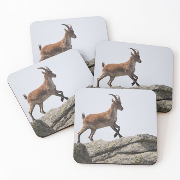 Item preview, Spanish Ibex Mountaintop, Sierra de Guadarrama designed and sold by MinkMaguari.