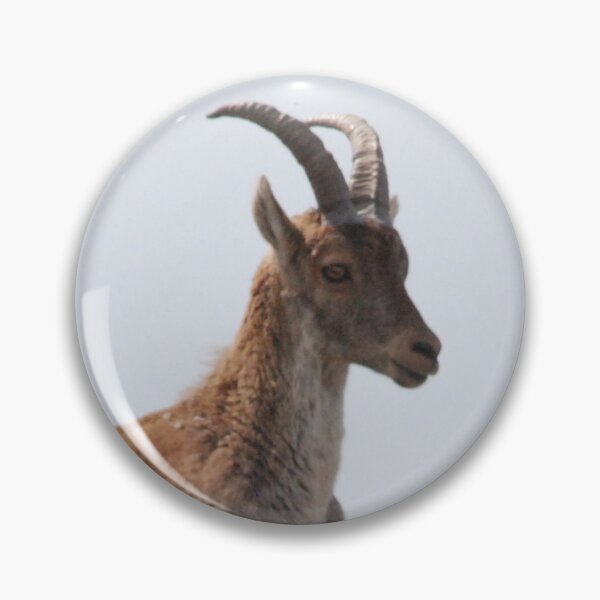 Item preview, Spanish Ibex Mountaintop, Sierra de Guadarrama designed and sold by MinkMaguari.