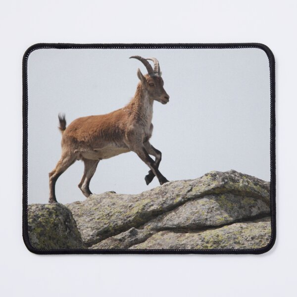 Item preview, Spanish Ibex Mountaintop, Sierra de Guadarrama designed and sold by MinkMaguari.