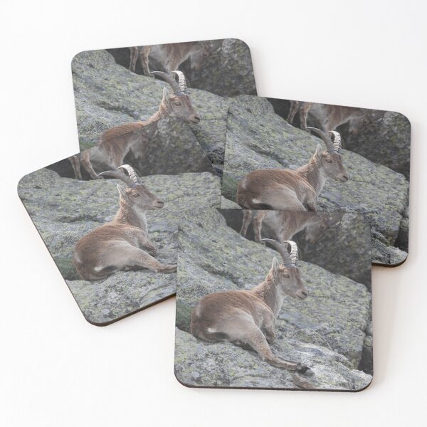 Item preview, Spanish Ibex at Rest designed and sold by MinkMaguari.