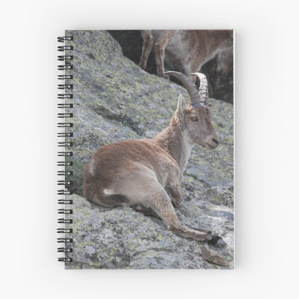 Item preview, Spanish Ibex at Rest designed and sold by MinkMaguari.
