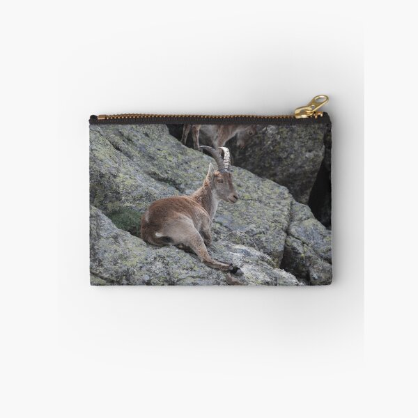 Item preview, Spanish Ibex at Rest designed and sold by MinkMaguari.