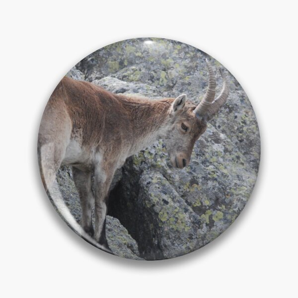 Item preview, Spanish Ibex - Cliffside Balance designed and sold by MinkMaguari.