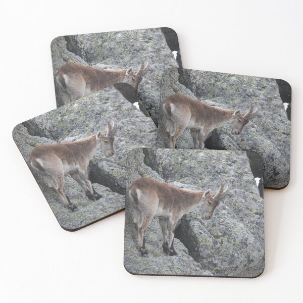 Item preview, Spanish Ibex - Cliffside Balance designed and sold by MinkMaguari.