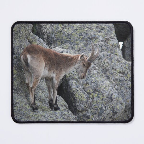Item preview, Spanish Ibex - Cliffside Balance designed and sold by MinkMaguari.
