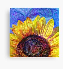 Solar eyelashes Canvas Print
