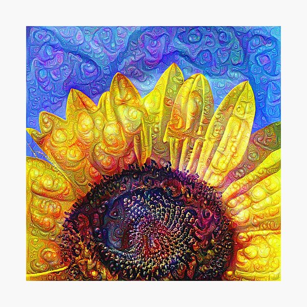 Photographic Print