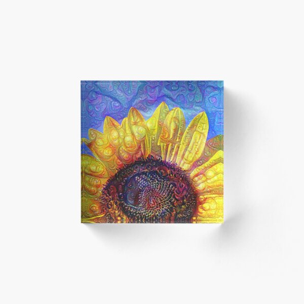 Acrylic Block