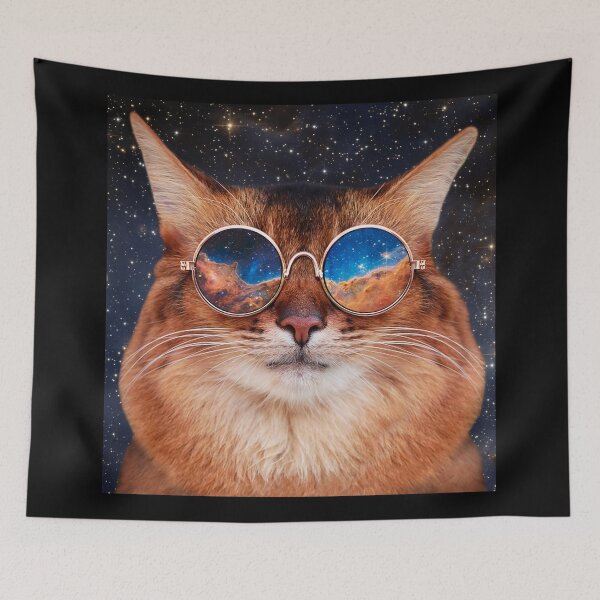 Artikelvorschau, Raumkatze entworfen und verkauft von meme-stuff.