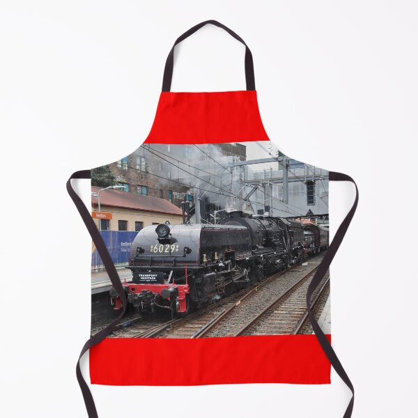 Item preview, Steam Heritage Expo - engine DC 6029 20221001 designed and sold by muz2142.