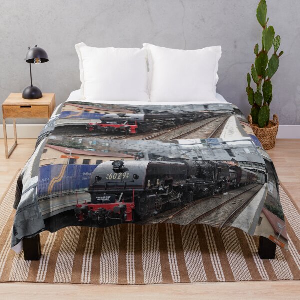 Item preview, Steam Heritage Expo - engine DC 6029 20221001 designed and sold by muz2142.