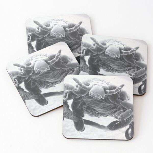 Item preview, EM scan Crab Pubic Louse designed and sold by Csherburne.