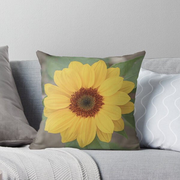 Item preview, Girasol designed and sold by OneCreativePup.