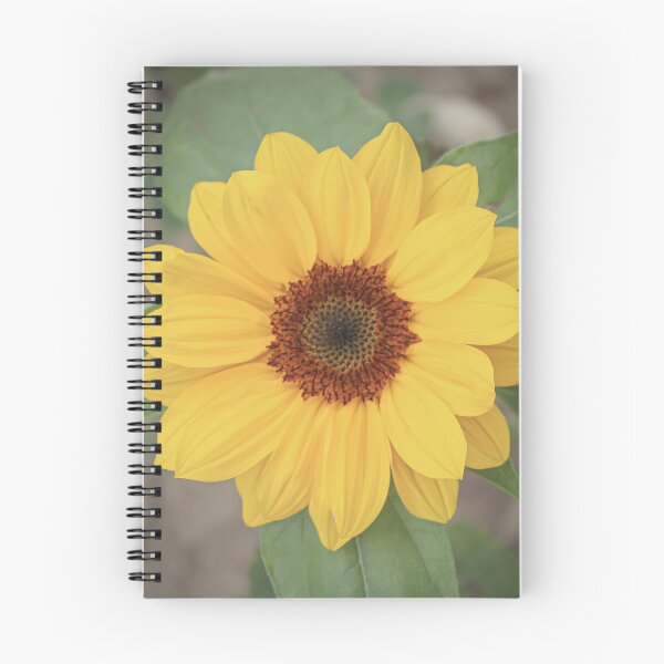 Artikelvorschau, Sonnenblume entworfen und verkauft von OneCreativePup.