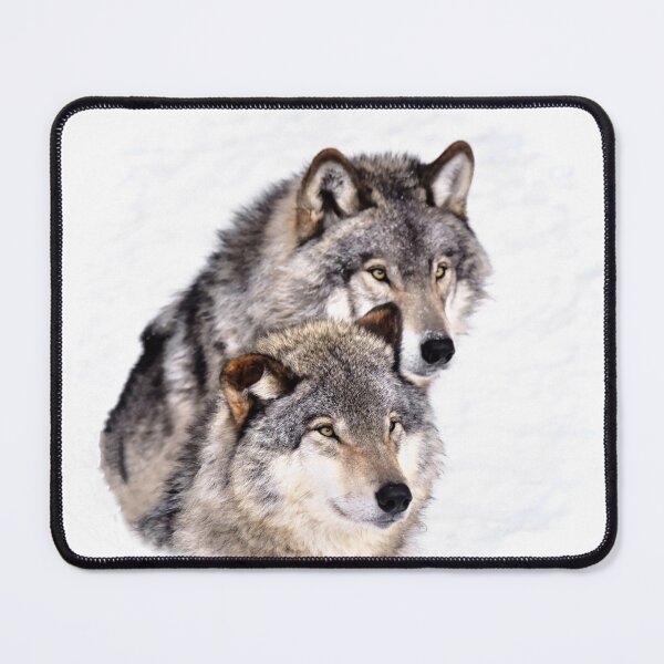 Item preview, Perfect Harmony_Timber Wolves! designed and sold by Poete100.