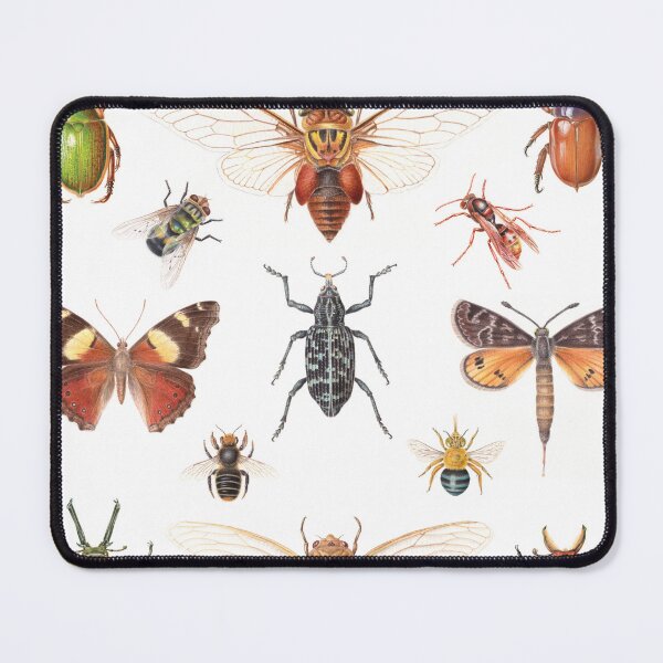 Item preview, Insects of Australia designed and sold by Cheryl Hodges.