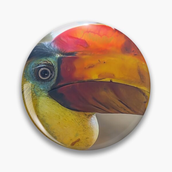 Item preview, USA. Texas. Galveston Island. The Aquarium at Moody Gardens. Hornbill Bird. designed and sold by vadim19.