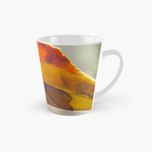 Item preview, USA. Texas. Galveston Island. The Aquarium at Moody Gardens. Hornbill Bird. designed and sold by vadim19.